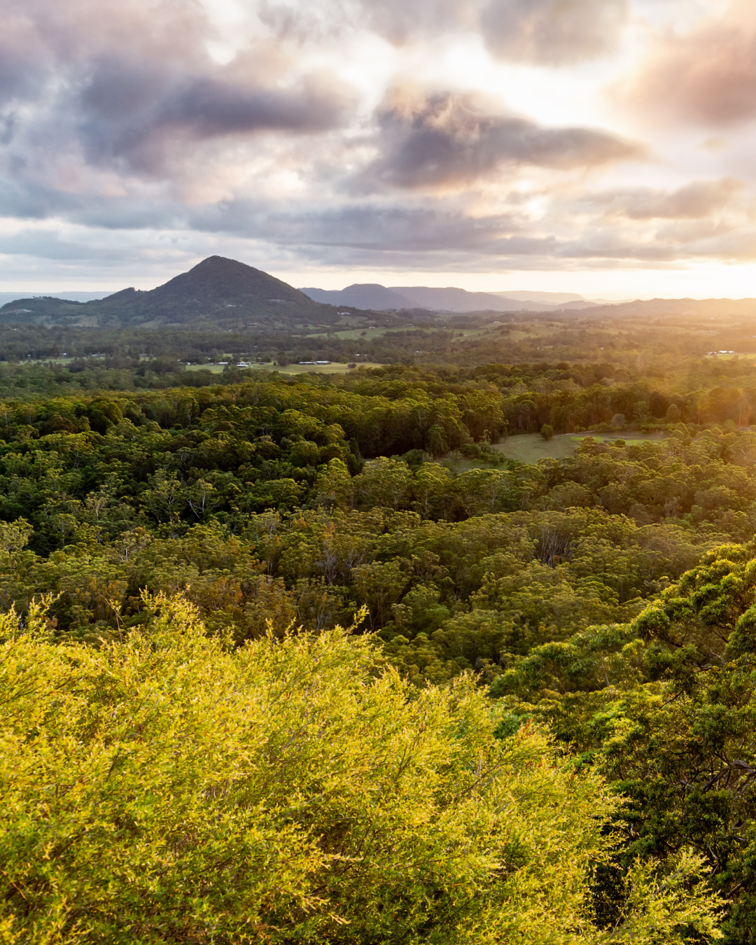 Tewantin Buyers Suburb Guide - Local Buyers Agent Home Scouts