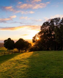 Noosa Hinterland buyers agent Home Scouts